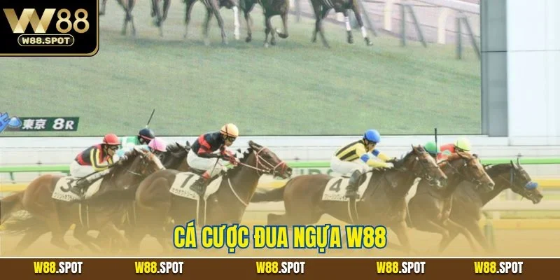 Cá Cược Đua Ngựa W88 | Chinh Phục Màn Đua Chiến Mã Tại W88 1 Cá cược đua ngựa W88